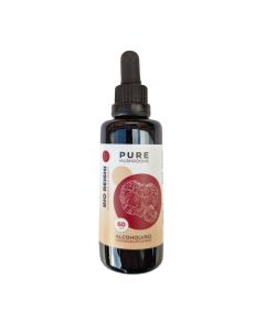 Reishi Paddenstoelen Extract Alcoholvrij Bio (Pure Mushrooms) 60ml